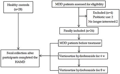 Gut Microbiota Changes in Patients With Major Depressive Disorder Treated With Vortioxetine